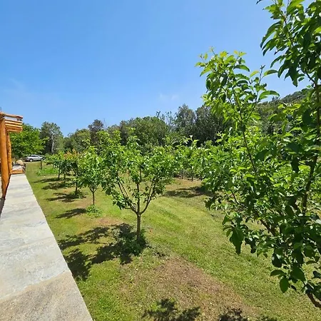 Villa Casa Misincu- Paradis Dans La Nature Du Cap Corse Cagnano