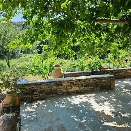 Casa Misincu- Paradis Dans La Nature Du Cap Corse *