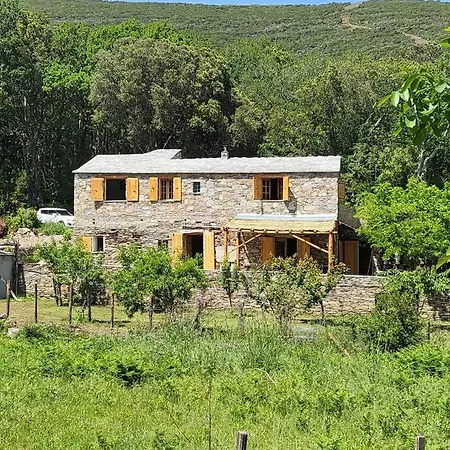 Casa Misincu- Paradis Dans La Nature Du Cap Corse Villa *