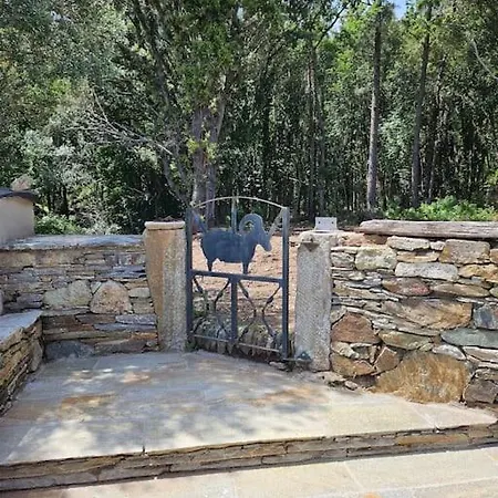 Casa Misincu- Paradis Dans La Nature Du Cap Corse Villa
